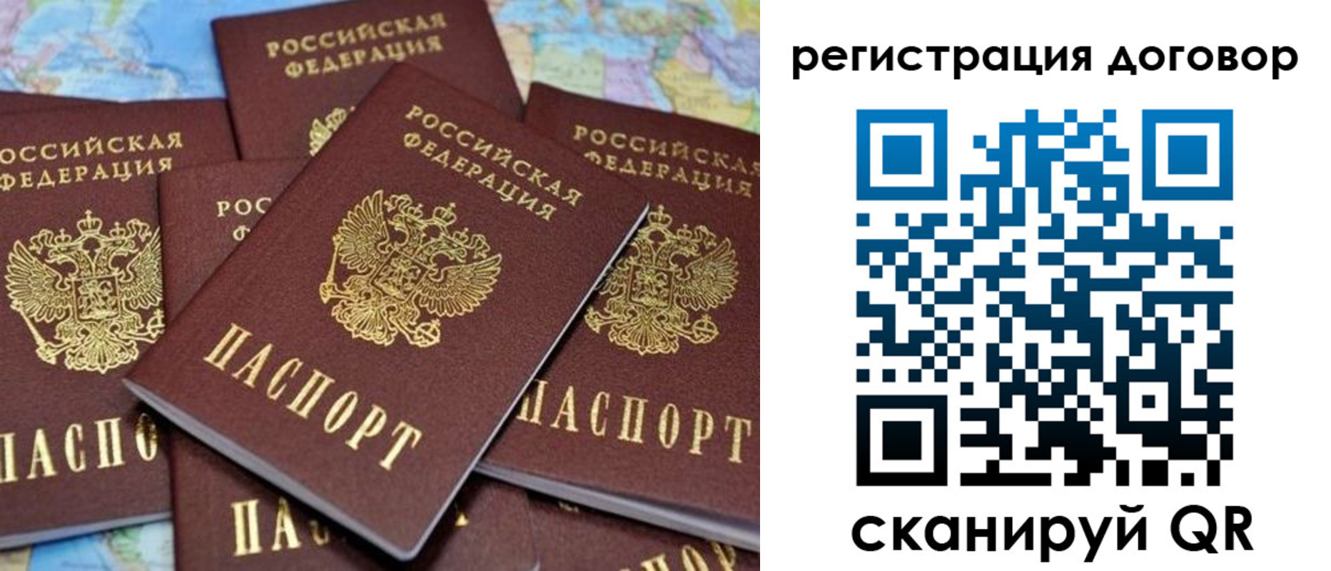 прописка гарантия в Полярном